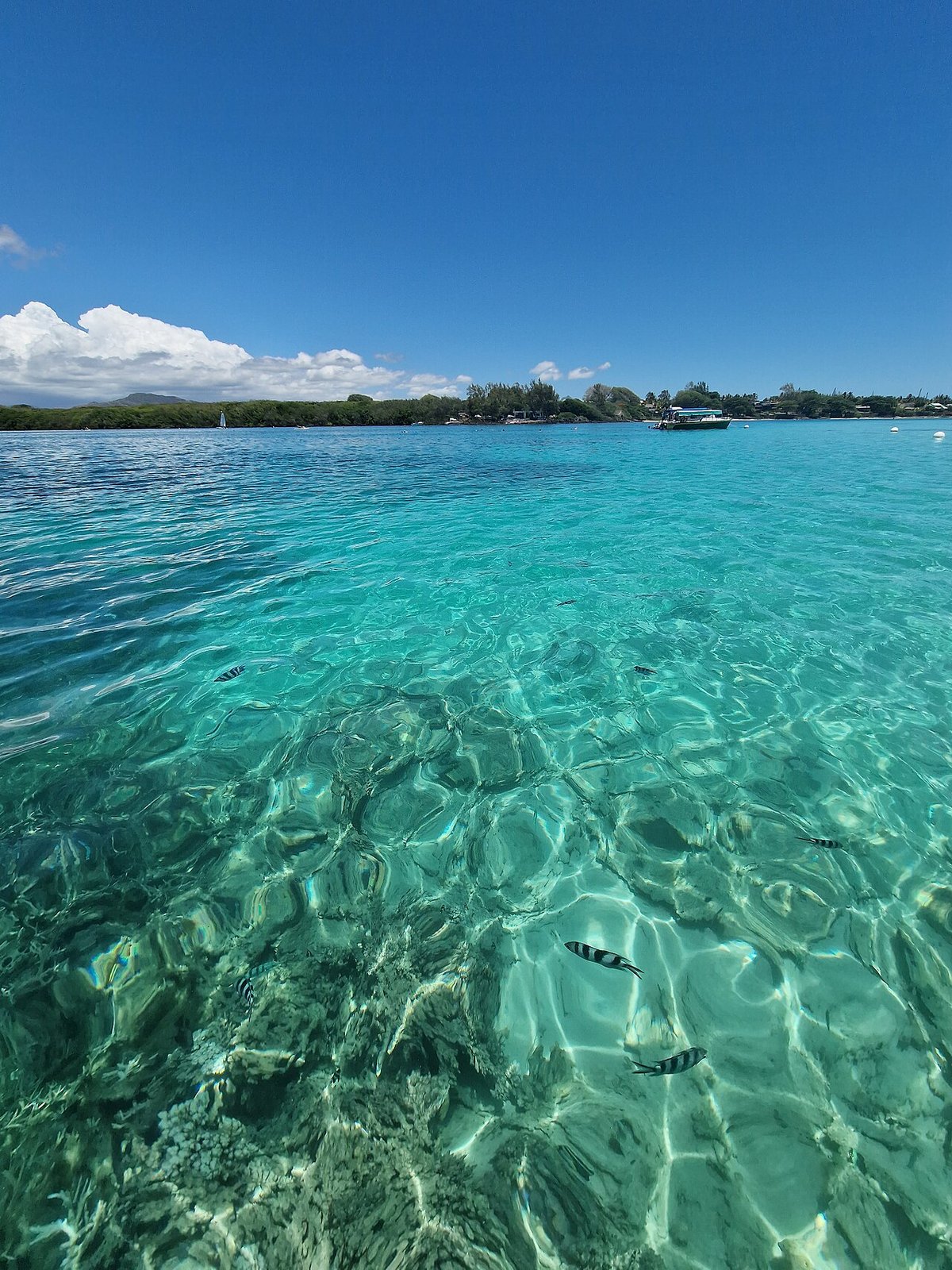 Clear water at Blue Bay, a popular snorkelling spot