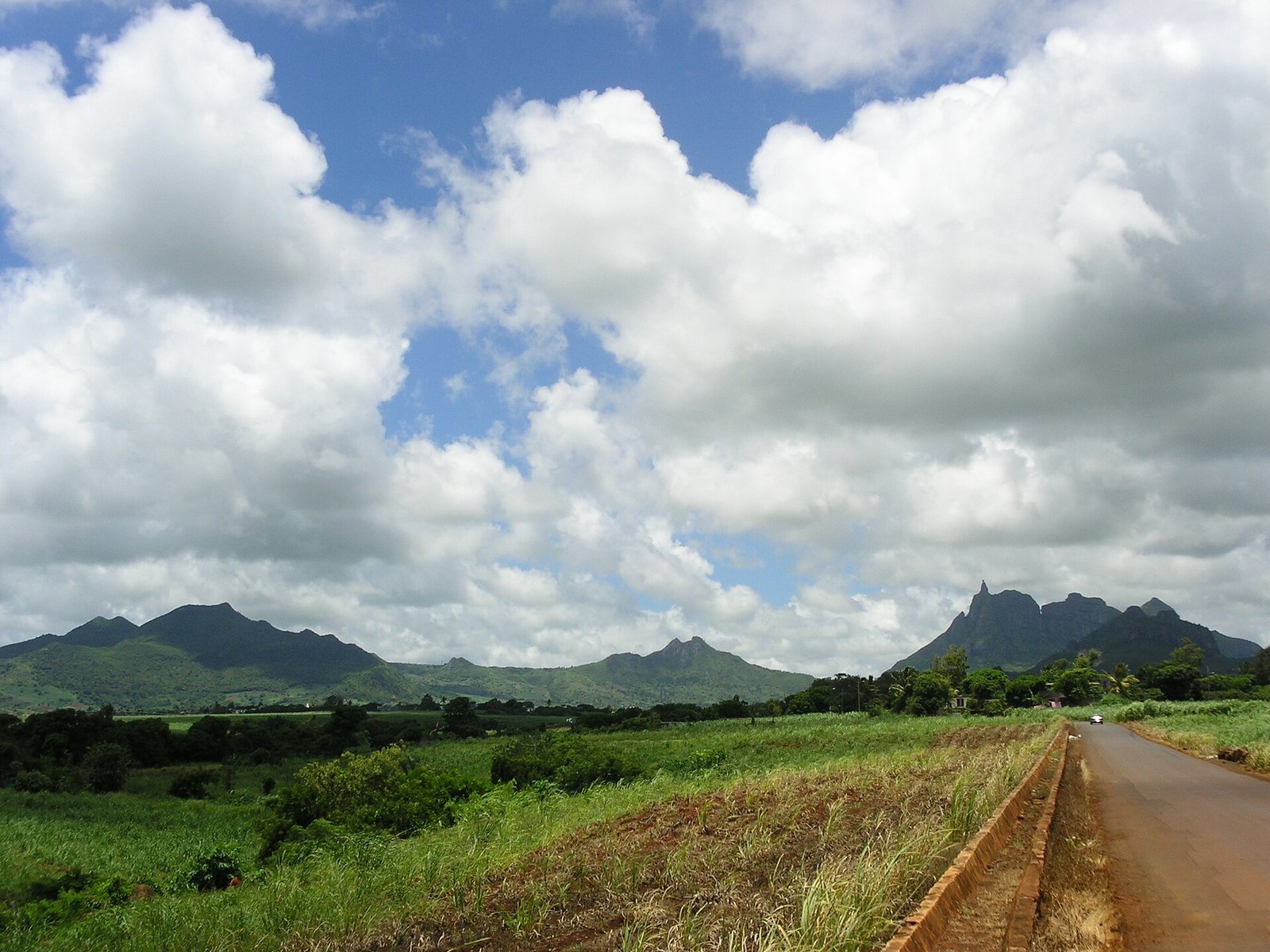 Sugar-cane fields and the northern mountain range