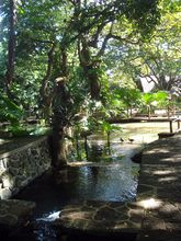 casela-nature-and-leisure-park-mauritius