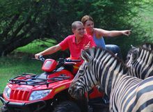 quad-and-zebra-casela-nature-and-leisure-park-mauritius