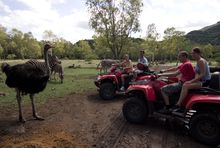 quad-casela-nature-and-leisure-park-mauritius