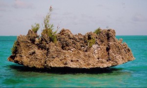 crystal rock- Mauritius- Sunset Cruiser