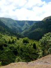 valley-black-river-national-park-mauritius