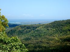 viewpoint-black-river-national-park-mauritius