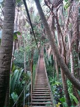 wobbly-plank-bridge-chamarel-parc-aventure-mauritius