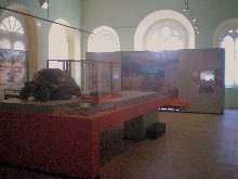 Mauritius-Museum-Natural-History-Museum