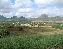 ausblick-bei-pamplemousses