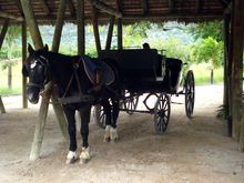 carriage-domaine-les-pailles-ausflugsziele-mauritius