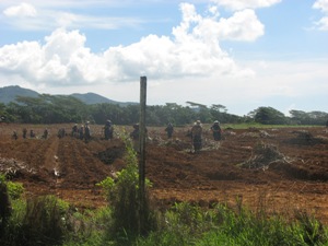 letoile-farm workers