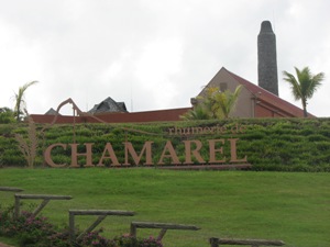 rhumerie-de-chamarel entrance 